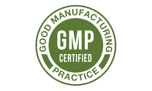 Java Brain GMP Certified Java Brain GMP Certified